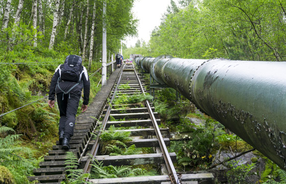4444 درجة.. تعرفوا إلى أطول درج خشبي في العالم.. صور صورة رقم 4