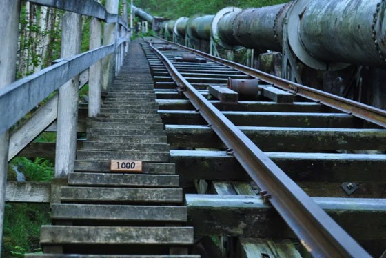 4444 درجة.. تعرفوا إلى أطول درج خشبي في العالم.. صور صورة رقم 1