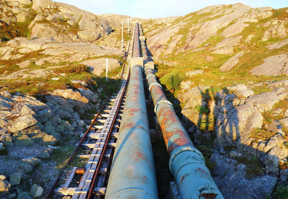 4444 درجة.. تعرفوا إلى أطول درج خشبي في العالم.. صور صورة رقم 8