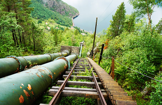 4444 درجة.. تعرفوا إلى أطول درج خشبي في العالم.. صور صورة رقم 9