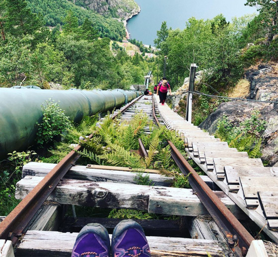 4444 درجة.. تعرفوا إلى أطول درج خشبي في العالم.. صور صورة رقم 10