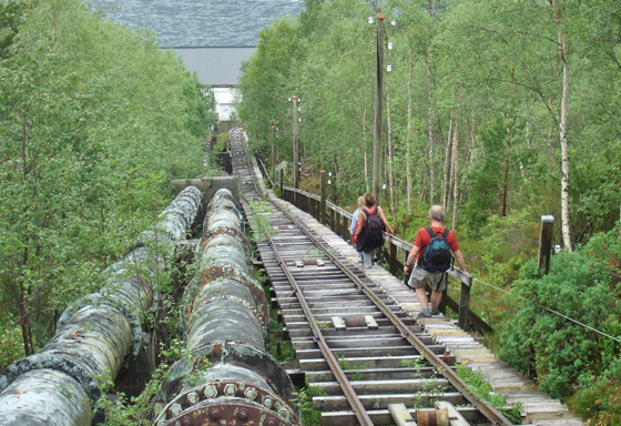 4444 درجة.. تعرفوا إلى أطول درج خشبي في العالم.. صور صورة رقم 15