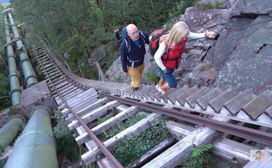 4444 درجة.. تعرفوا إلى أطول درج خشبي في العالم.. صور صورة رقم 16