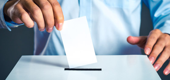 التصويت بالكرات أو عبر محطات ناسا.. غرائب الانتخابات حول العالم صورة رقم 8