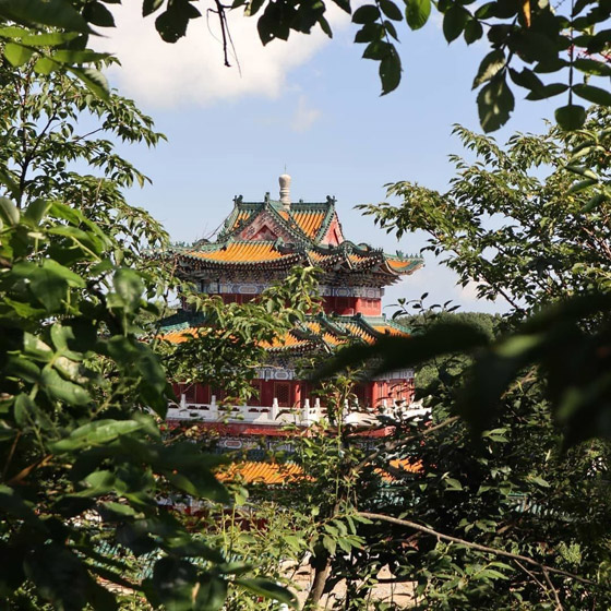 في الصين.. 999 خطوة تأخذكم إلى بوابة السماء الخلابة والساحرة.. صور صورة رقم 6 في الصين.. 999 خطوة تأخذكم إلى بوابة السماء الخلابة والساحرة.. صور صورة رقم 6