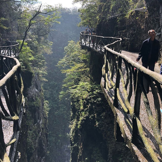 في الصين.. 999 خطوة تأخذكم إلى بوابة السماء الخلابة والساحرة.. صور صورة رقم 9 في الصين.. 999 خطوة تأخذكم إلى بوابة السماء الخلابة والساحرة.. صور صورة رقم 9