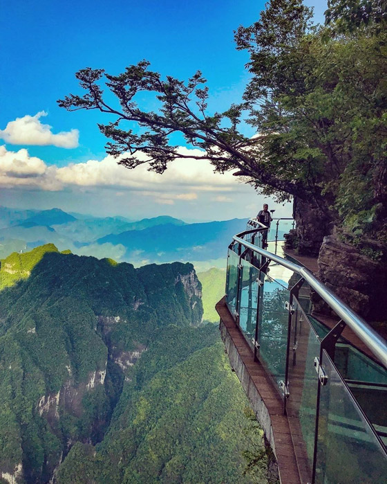 في الصين.. 999 خطوة تأخذكم إلى بوابة السماء الخلابة والساحرة.. صور صورة رقم 10 في الصين.. 999 خطوة تأخذكم إلى بوابة السماء الخلابة والساحرة.. صور صورة رقم 10