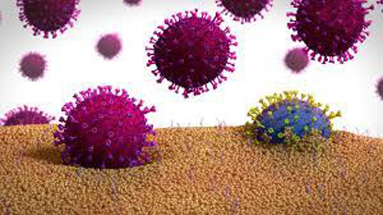 اعتقال رجل عرض عينات من كورونا للبيع على الإنترنت صورة رقم 5