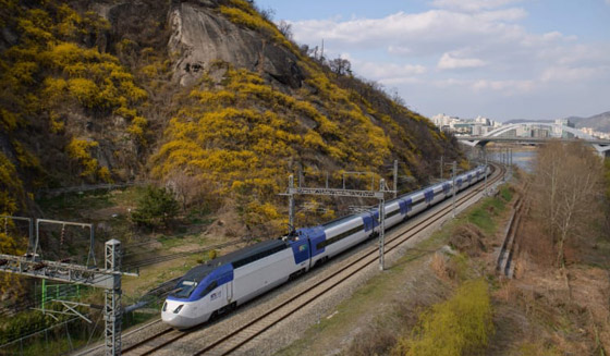 منها السعودية والمغرب.. تعرفوا إلى أسرع القطارات في العالم.. صور صورة رقم 1 منها السعودية والمغرب.. تعرفوا إلى أسرع القطارات في العالم.. صور صورة رقم 1