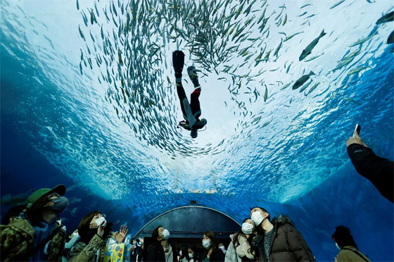 إليكم نبذة مصورة لأهم أحداث الأسبوع من مختلف بقاع العالم صورة رقم 4 إليكم نبذة مصورة لأهم أحداث الأسبوع من مختلف بقاع العالم صورة رقم 4