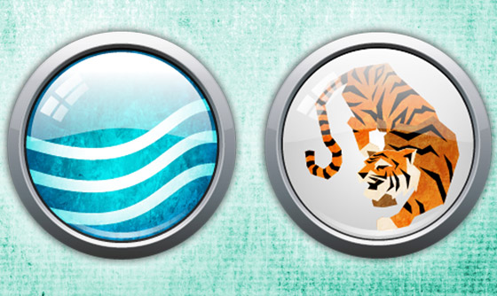 2022 عام النمر حسب التنجيم الصيني.. ماذا يعني ذلك وكيف تُقسم الأبراج؟ صورة رقم 2