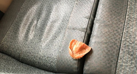 من أغرب الأشياء التي وجدها الناس حول العالم صورة رقم 6