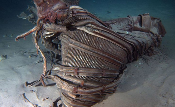 من أغرب الأشياء التي وجدها الناس حول العالم صورة رقم 3