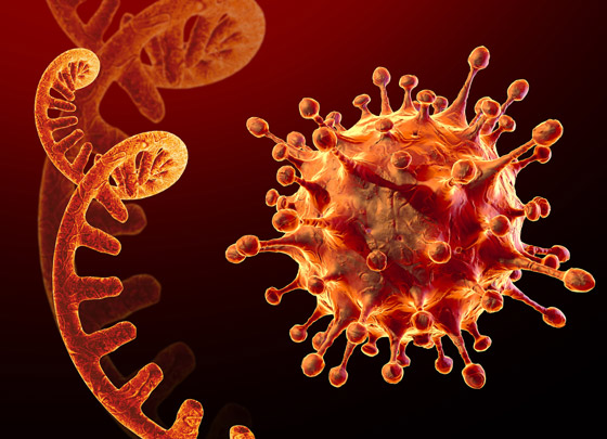 خبر رائع: لا تقلقوا فنهاية وباء كورونا قريبة رغم أوميكرون! صورة رقم 3