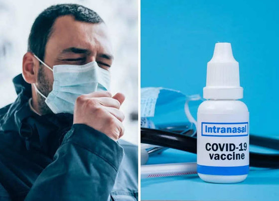 خبر رائع: لا تقلقوا فنهاية وباء كورونا قريبة رغم أوميكرون! صورة رقم 5