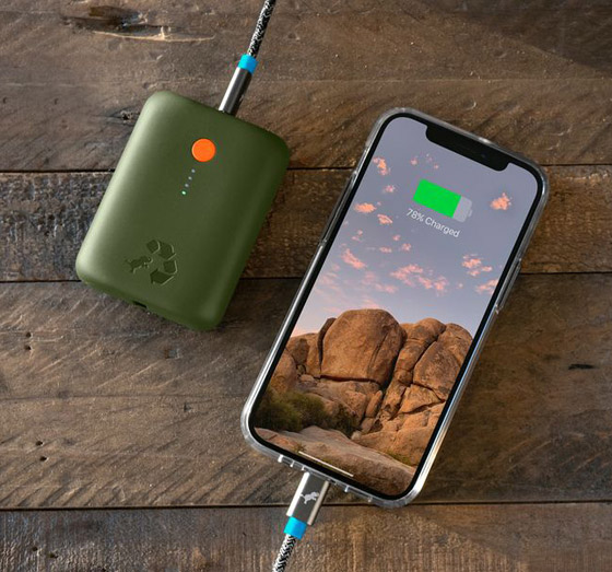 بالصور: إليكم أغرب وأبرز الأشياء التي بيعت بأسعار خيالية في 2021 صورة رقم 2