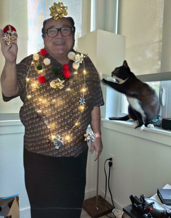 صور : أشجار الكريسماس كما لم تراها من قبل صورة رقم 13