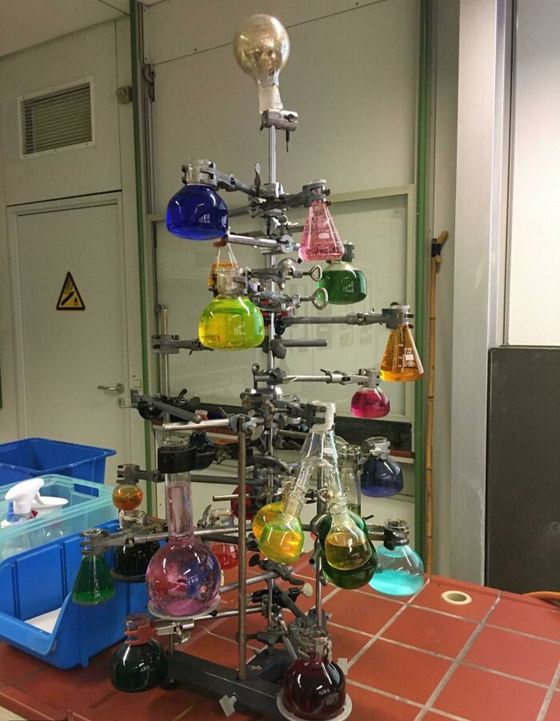 صور : أشجار الكريسماس كما لم تراها من قبل صورة رقم 15