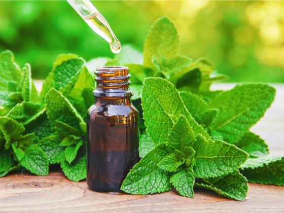 صورة رقم 7 - تعرف على أنواع الروائح العطرية وكيف تؤثر على حياتك العاطفية صورة رقم 7 - تعرف على أنواع الروائح العطرية وكيف تؤثر على حياتك العاطفية