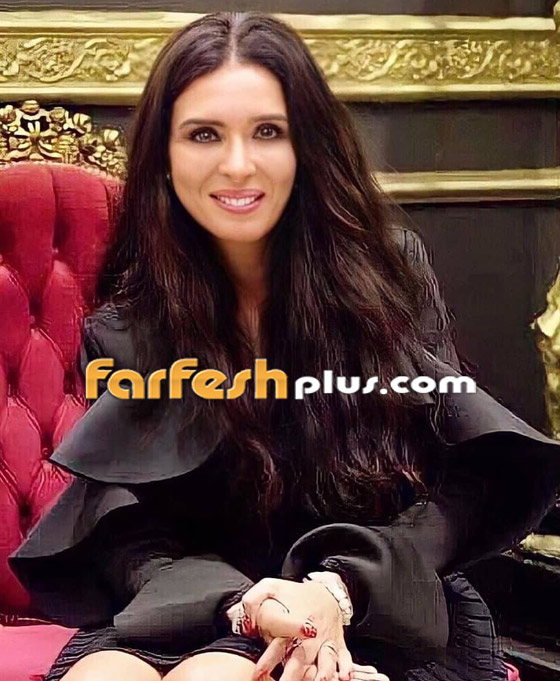 الراقصة دينا تفجر مفاجآت: زوج كارول سماحة كان خطيبي، انا وهيفا نولع الجو وزعلانة من شيرين،! صورة رقم 10