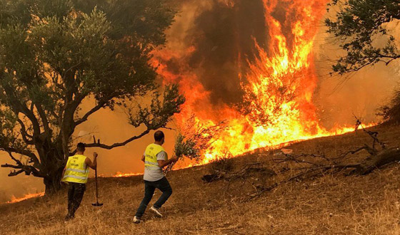 إعصار نادر وحرائق مدمرة.. أسوأ كوارث طبيعية ضربت العالم في 2021 صورة رقم 9 إعصار نادر وحرائق مدمرة.. أسوأ كوارث طبيعية ضربت العالم في 2021 صورة رقم 9
