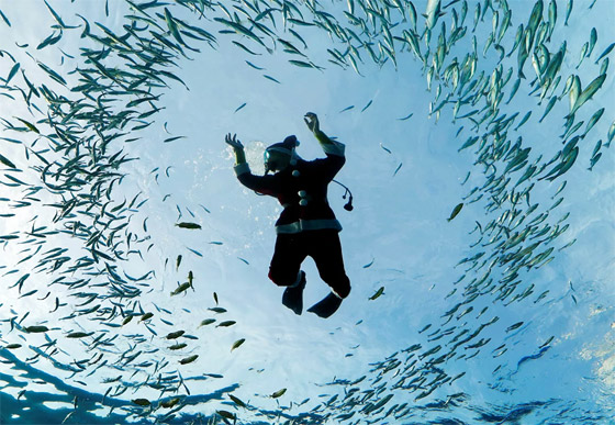 إليكم صور طريفة عشية الاحتفال بعام 2022 الجديد صورة رقم 7