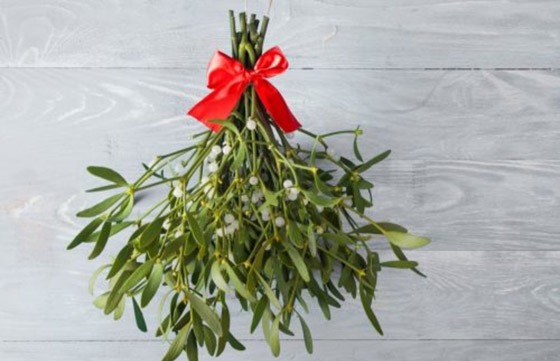 أغرب عادات الدول في استقبال العام الجديد صورة رقم 20 أغرب عادات الدول في استقبال العام الجديد صورة رقم 20