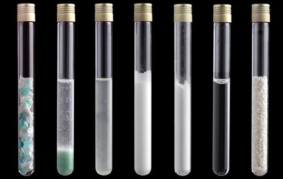 الفطريات والبكتيريا آكلة البلاستيك التي قد تنقذ العالم من النفايات صورة رقم 5