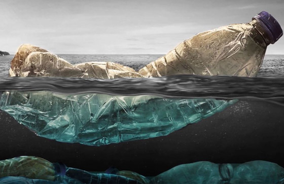 الفطريات والبكتيريا آكلة البلاستيك التي قد تنقذ العالم من النفايات صورة رقم 8