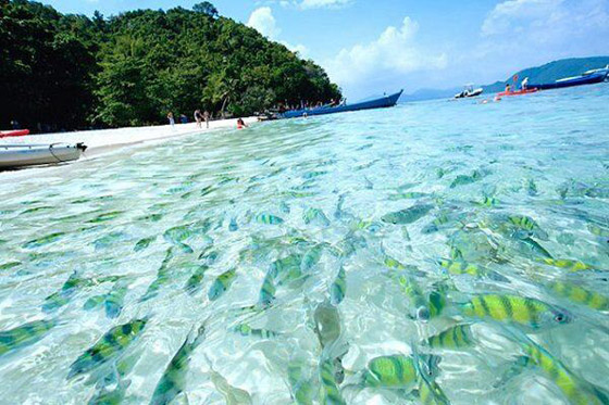 أشهر أماكن السياحة في جزيرة بتايا التايلاندية صورة رقم 4