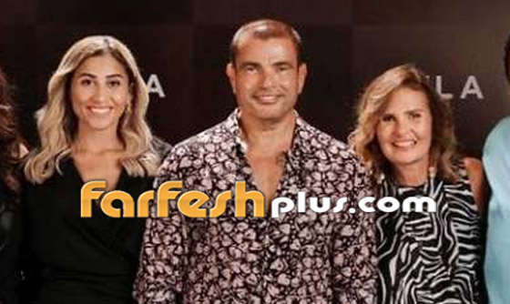 هل عاد عمرو دياب إلى دينا الشربيني؟ صورة جديدة تجمعهما ما قصتها؟ صورة رقم 4