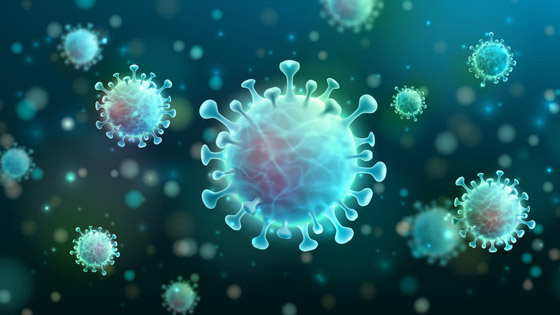 علماء يكتشفون فيروسا جديدا مفيدا للإنسان! يساهم بمكافحة عدوى البكتيريا صورة رقم 5