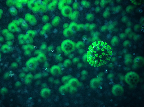 علماء يكتشفون فيروسا جديدا مفيدا للإنسان! يساهم بمكافحة عدوى البكتيريا صورة رقم 6