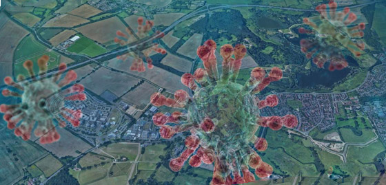 علماء يكتشفون فيروسا جديدا مفيدا للإنسان! يساهم بمكافحة عدوى البكتيريا صورة رقم 9