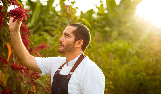 شيف ينشئ غابة صالحة للأكل بعد أن كانت أرض قاحلة.. ما سرها؟ صور صورة رقم 1