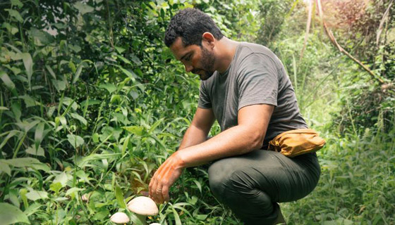 شيف ينشئ غابة صالحة للأكل بعد أن كانت أرض قاحلة.. ما سرها؟ صور صورة رقم 2