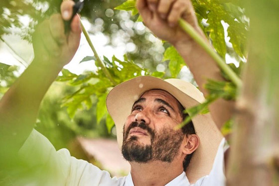 شيف ينشئ غابة صالحة للأكل بعد أن كانت أرض قاحلة.. ما سرها؟ صور صورة رقم 5