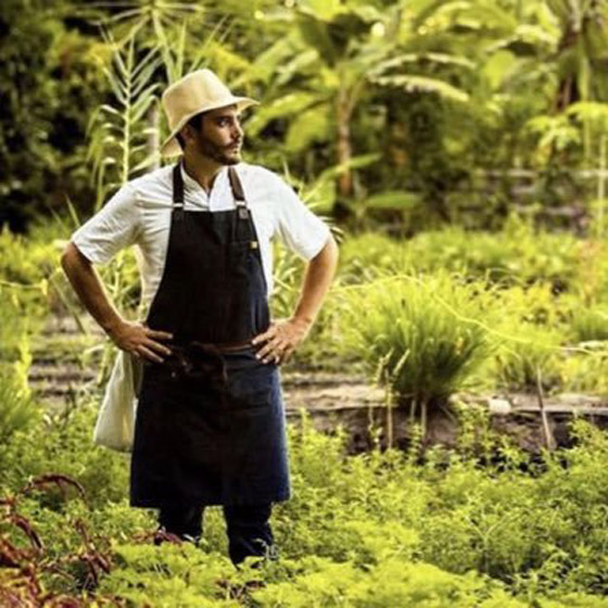 شيف ينشئ غابة صالحة للأكل بعد أن كانت أرض قاحلة.. ما سرها؟ صور صورة رقم 6