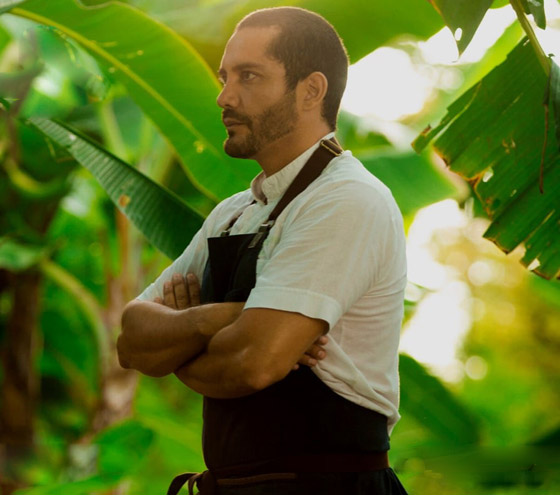 شيف ينشئ غابة صالحة للأكل بعد أن كانت أرض قاحلة.. ما سرها؟ صور صورة رقم 9