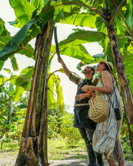 شيف ينشئ غابة صالحة للأكل بعد أن كانت أرض قاحلة.. ما سرها؟ صور صورة رقم 10