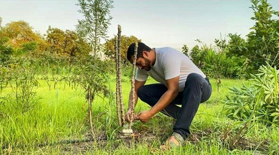 شيف ينشئ غابة صالحة للأكل بعد أن كانت أرض قاحلة.. ما سرها؟ صور صورة رقم 12