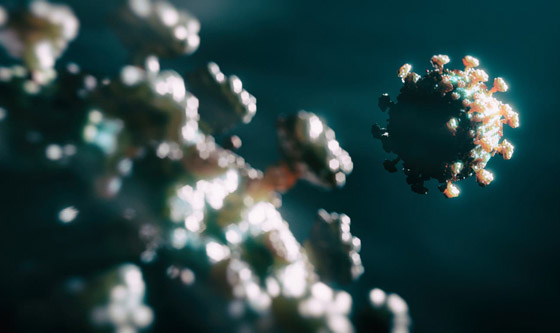 العلماء يحذرون من متحورات فيروس كورونا: قد تعيدنا سنة إلى الوراء! صورة رقم 10