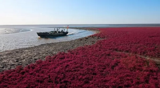 بالصور: تعرفوا إلى 10 من أجمل الأماكن الخلابة في العالم صورة رقم 5