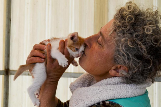 تركيا.. عازفة بيانو أذربيجانية تعتني بـ200 كلب وقطة صورة رقم 2