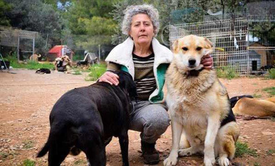 تركيا.. عازفة بيانو أذربيجانية تعتني بـ200 كلب وقطة صورة رقم 7