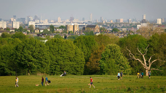 على كوكب صاخب.. كيف تكافح هذه المنظمة للحفاظ على آخر الأماكن الهادئة؟ صورة رقم 5