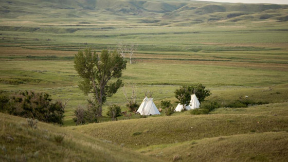 على كوكب صاخب.. كيف تكافح هذه المنظمة للحفاظ على آخر الأماكن الهادئة؟ صورة رقم 7