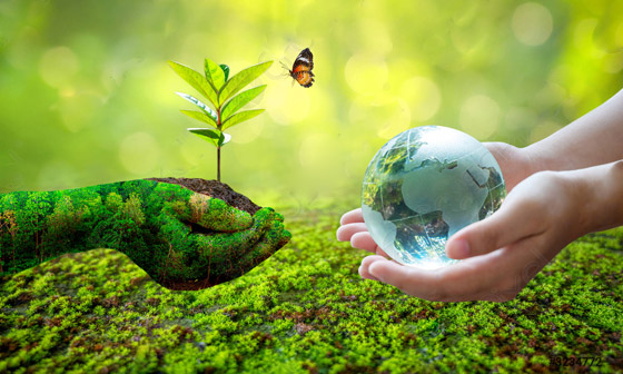 رغم السيناريوهات المتشائمة للتغيرات المناخية.. لماذا أصبح إنقاذ الأرض أسهل؟ صورة رقم 3