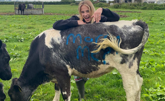 بالفيديو والصور: شاب بريطاني يعرض الزواج على حبيبته مستعينا بالبقر صورة رقم 1