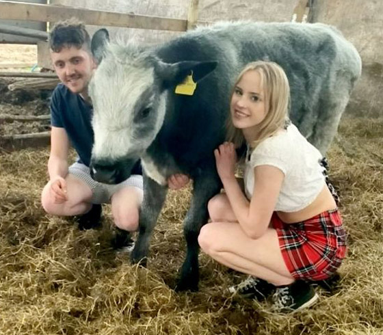 بالفيديو والصور: شاب بريطاني يعرض الزواج على حبيبته مستعينا بالبقر صورة رقم 3
